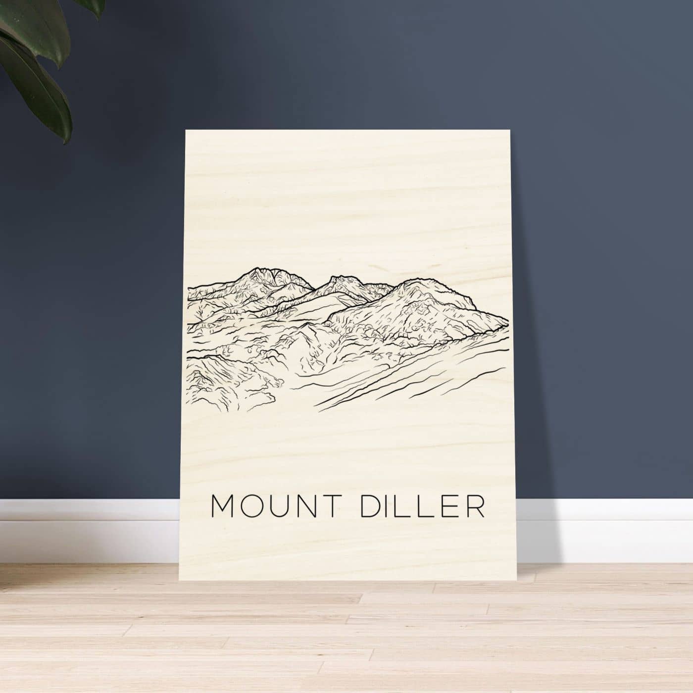 Mount Diller - Black & White