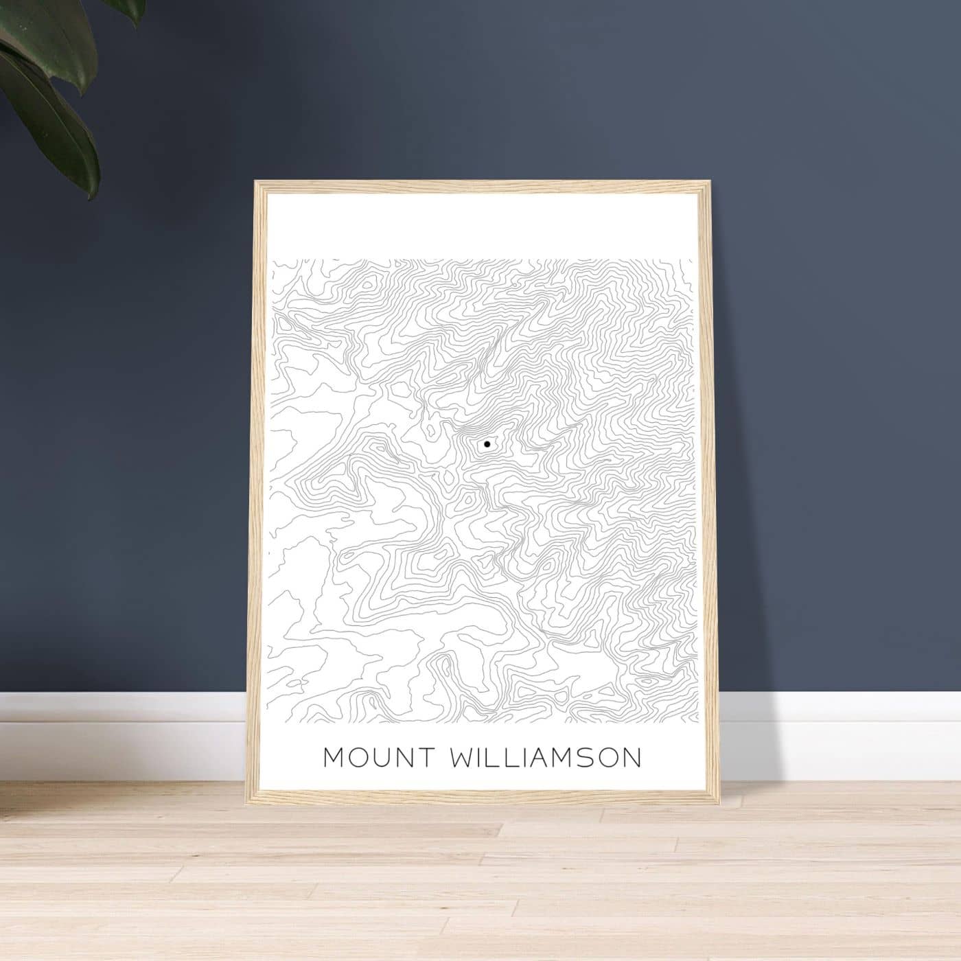 Mount Williamson - Contour Lines