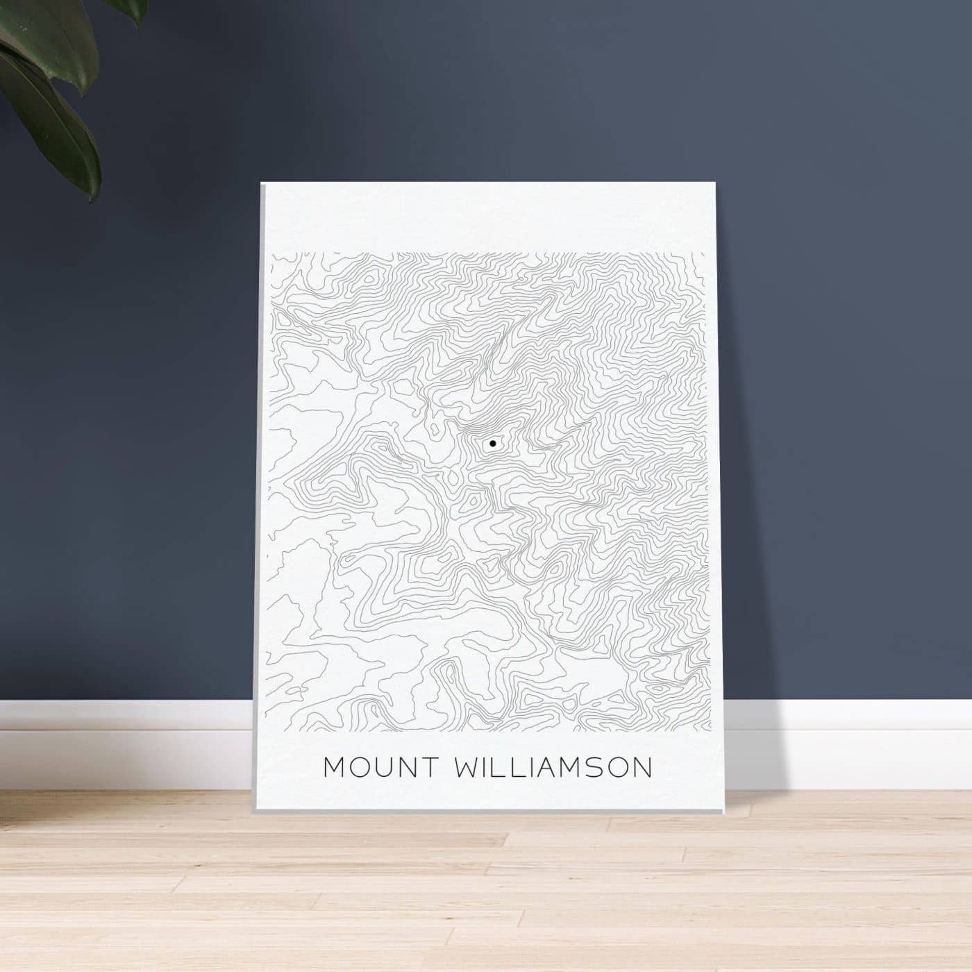 Mount Williamson - Contour Lines