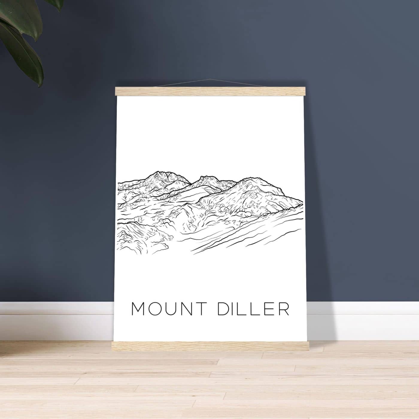 Mount Diller - Black & White