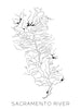 The Sacramento River