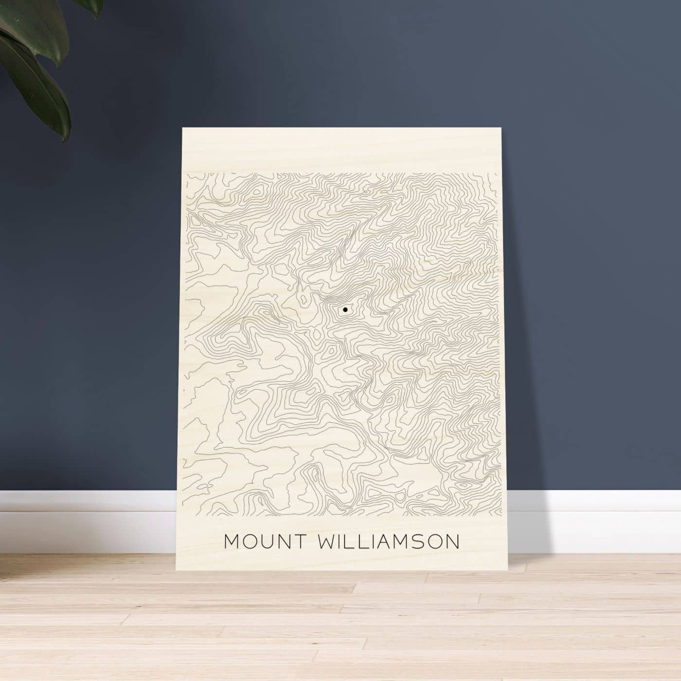 Mount Williamson - Contour Lines