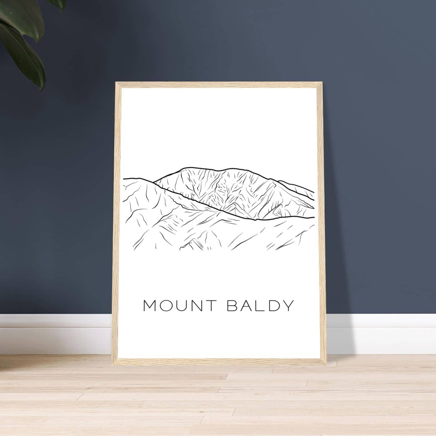 Mount Baldy - Black & White