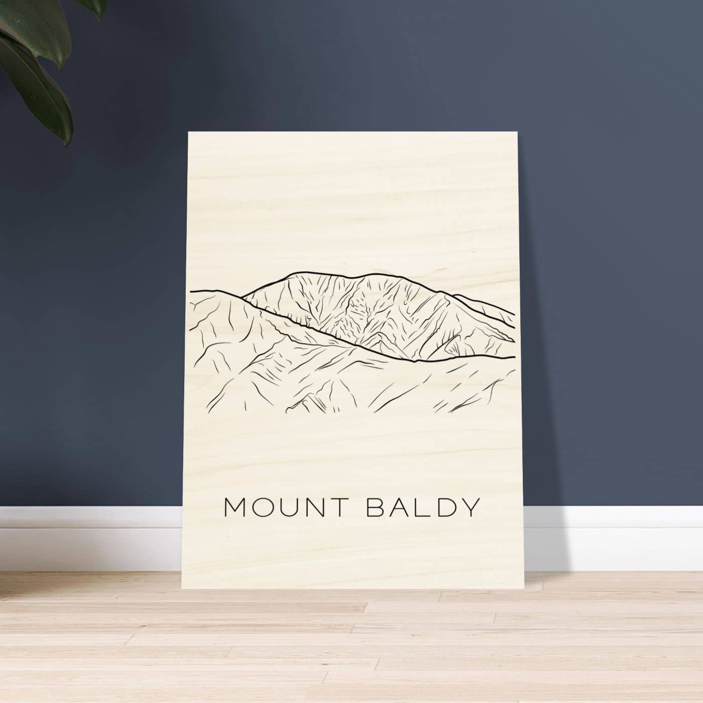 Mount Baldy - Black & White