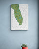 The Florida Surf Map