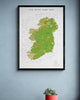 The Irish Surf Map